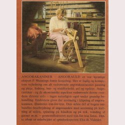 Angorakaniner - angorauld: F. Wanning