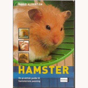 Hamster