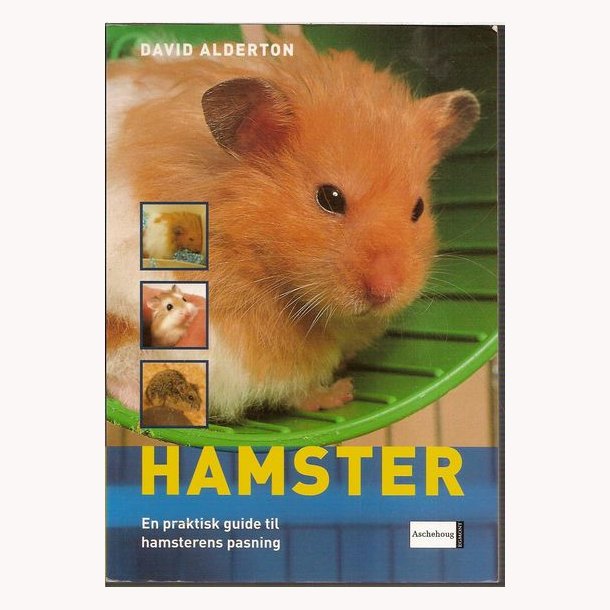 Hamster