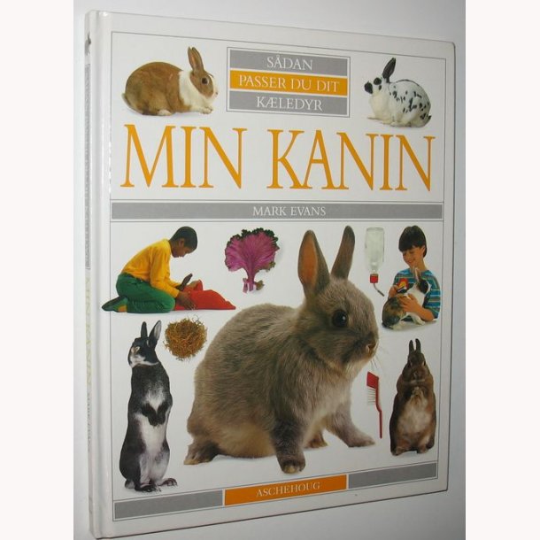 Min kanin