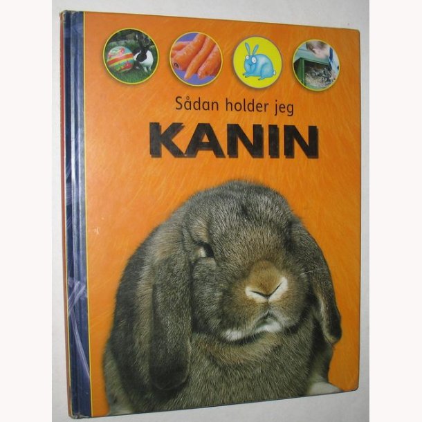 Sdan holder jeg kanin