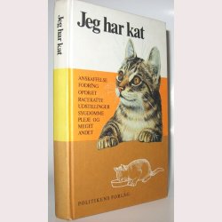 Jeg har kat