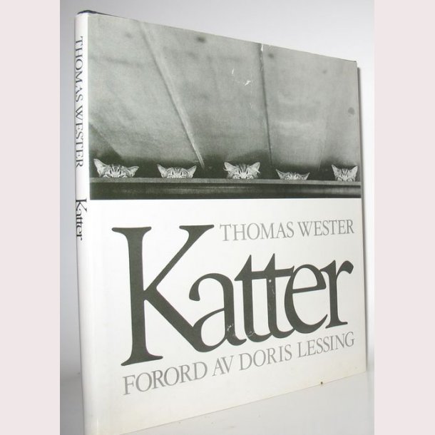 Katter