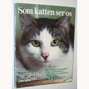 Som katten ser os