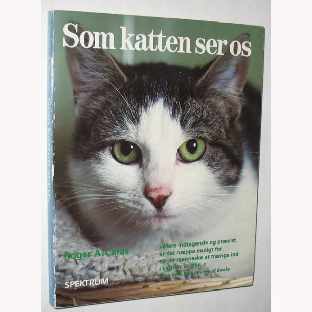 Som katten ser os