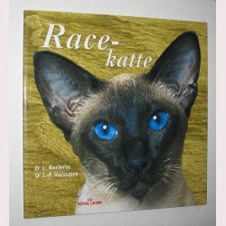 Racekatte