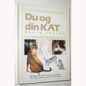Du og din kat