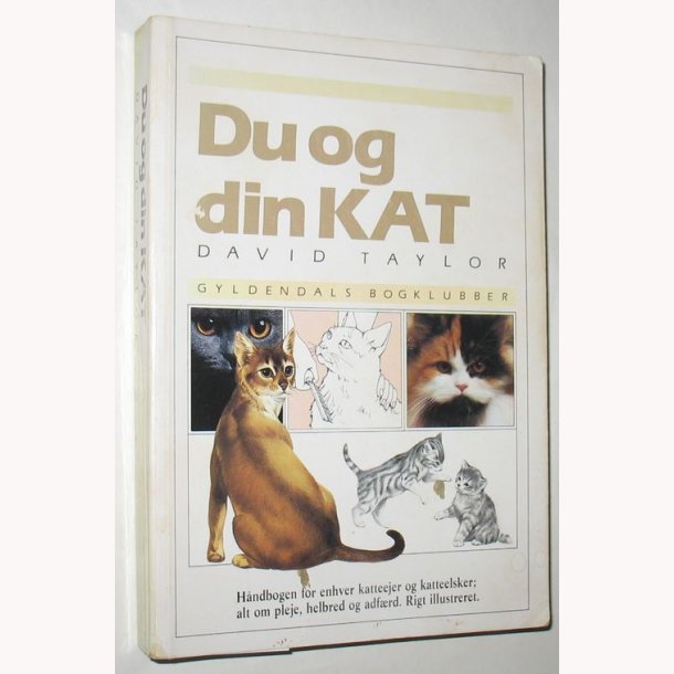 Du og din kat