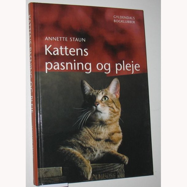 Kattens pasning og pleje