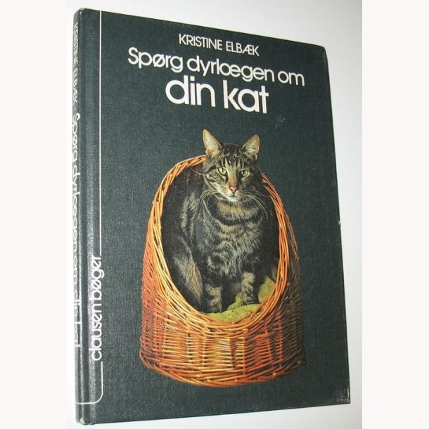 Mesterskab dommer fornuft Spørg dyrlægen om din kat af Kristine Elbæk brugt på antikvariat  BookStone.dk