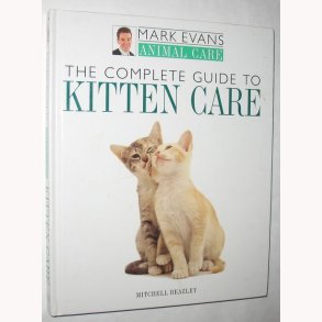 The Complete Guide to Kitten Care