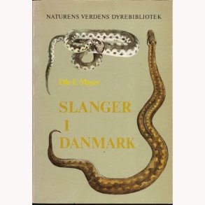 Slanger i Danmark