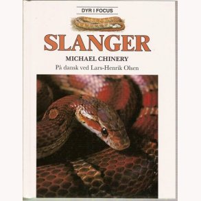 Slanger