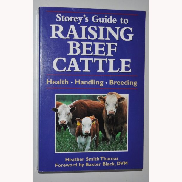 Raising Beef Cattle