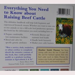 Raising Beef Cattle