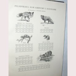 Vore Pelsdyr - srtryk af vrket Pelsdyrene