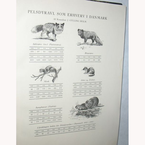 Vore Pelsdyr - srtryk af vrket Pelsdyrene