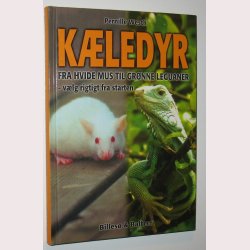 Kledyr - vlg rigtig fra starten