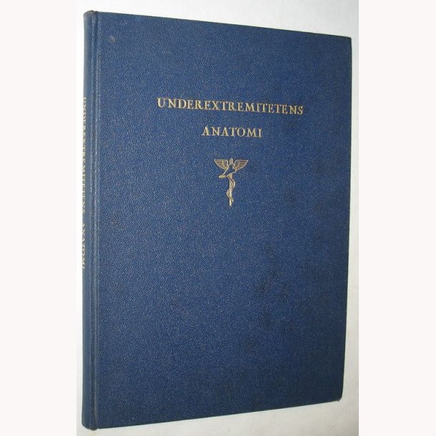 Underextremitetens anatomi i billeder