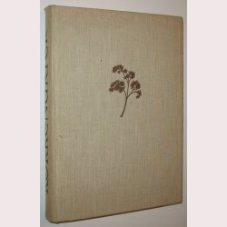 Dyrkning af Kkkenurter p friland og under glas