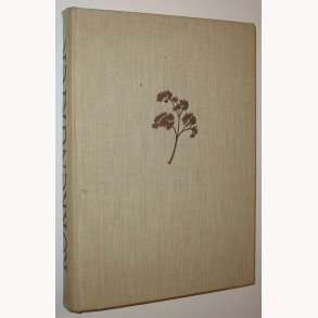 Dyrkning af Kkkenurter p friland og under glas