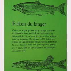 Fisken du fanger