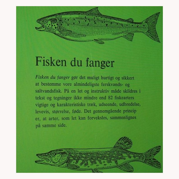 Fisken du fanger