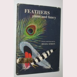 Feathers plain and fancy