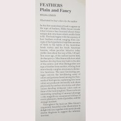 Feathers plain and fancy