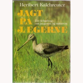 Jagt p jgerne