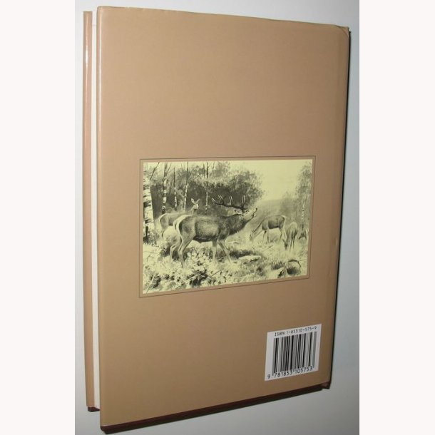 Deer - A Personal View