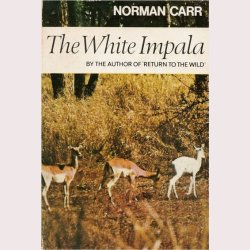 The White Impala