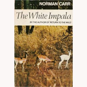 The White Impala