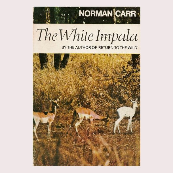 The White Impala