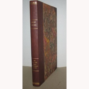 P safari ved Kilimanjaro