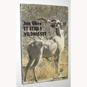 Et sted i vildnisset