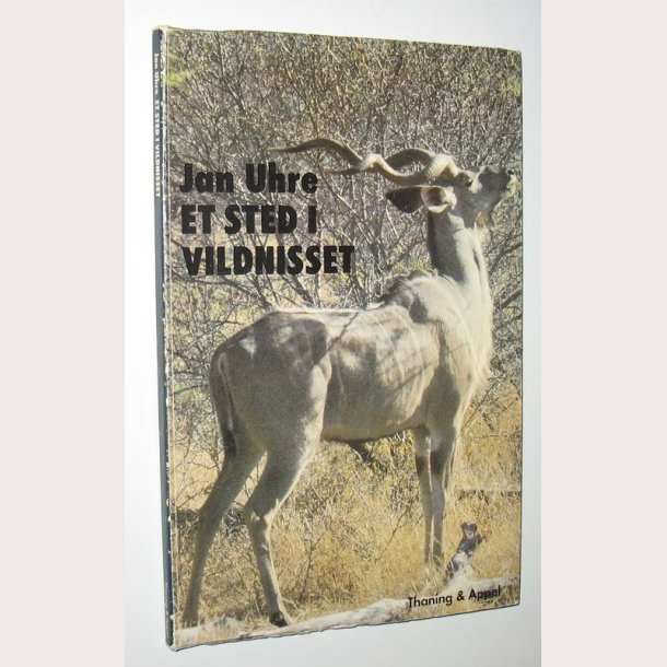 Et sted i vildnisset