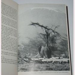 P safari ved Kilimanjaro