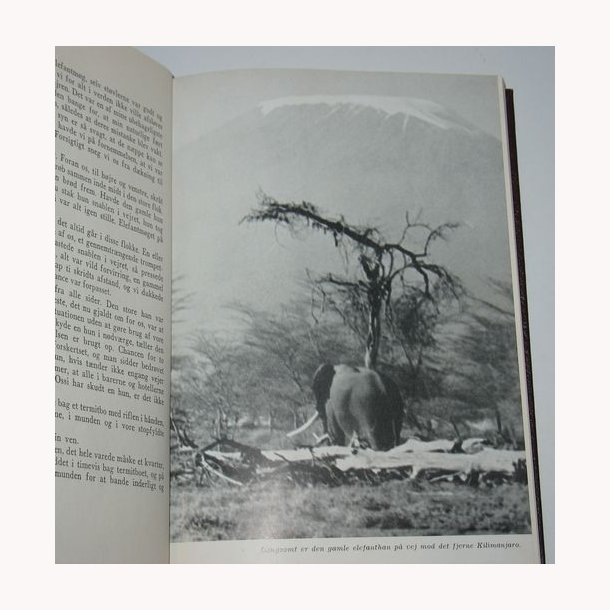 P safari ved Kilimanjaro