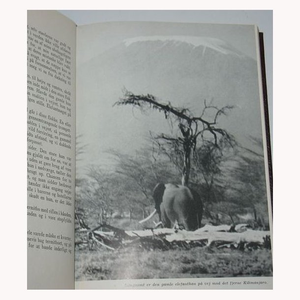 P safari ved Kilimanjaro