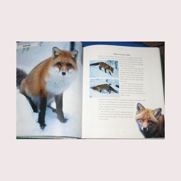 De vilda djurens rike