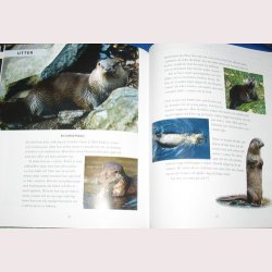 De vilda djurens rike