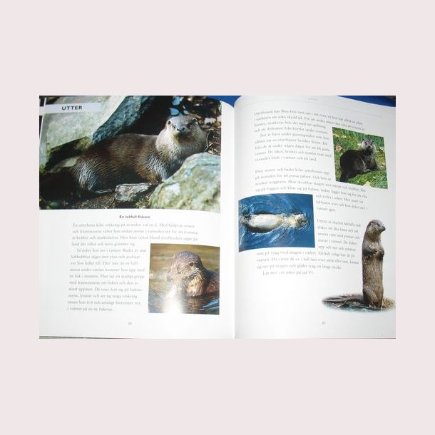 De vilda djurens rike