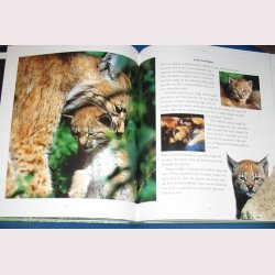 De vilda djurens rike