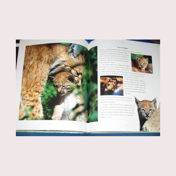 De vilda djurens rike