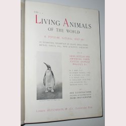 The Living Animals of the World
