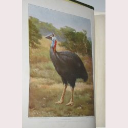 The Living Animals of the World