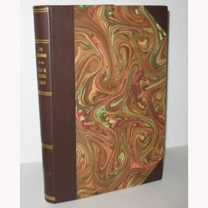 Elsa og hendes unger