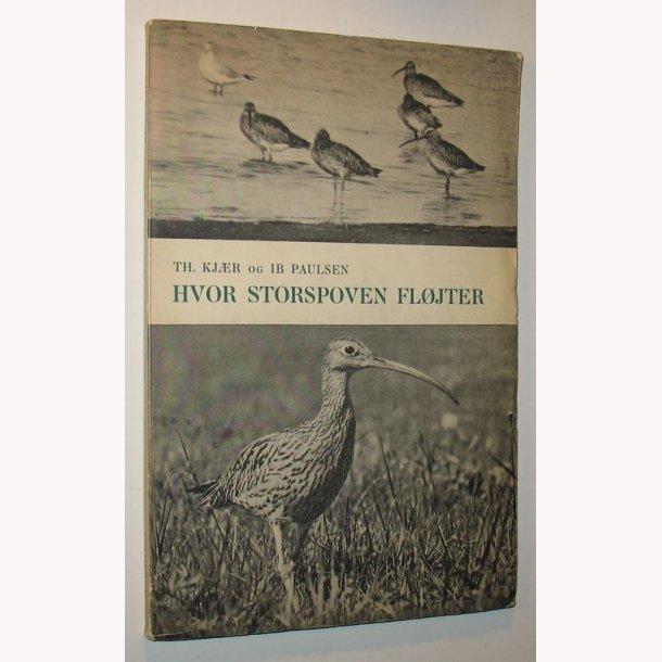 Hvor Storspoven fljter