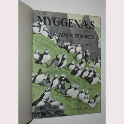 Myggens